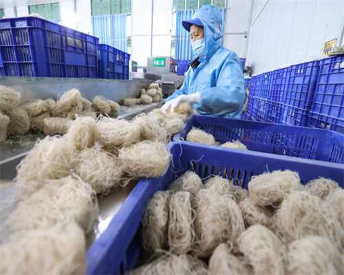 风暴英雄继续做 PVE 真的会火吗？这些游戏的人机表示不服