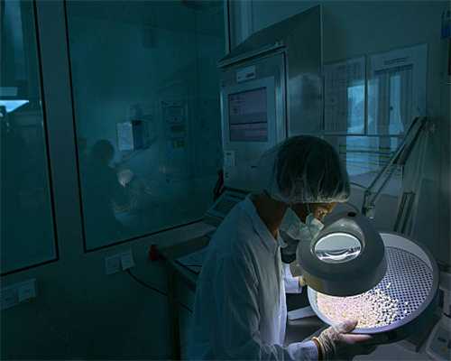 偏单机体验的《万象物语》在凭什么拿下500万用户？